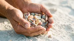 Kesä rannalla: mitä voit ottaa mukaan – ja mikä on kiellettyä