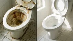 Kotirouvien salaisuus: kuinka puhdistaa wc vaivattomasti